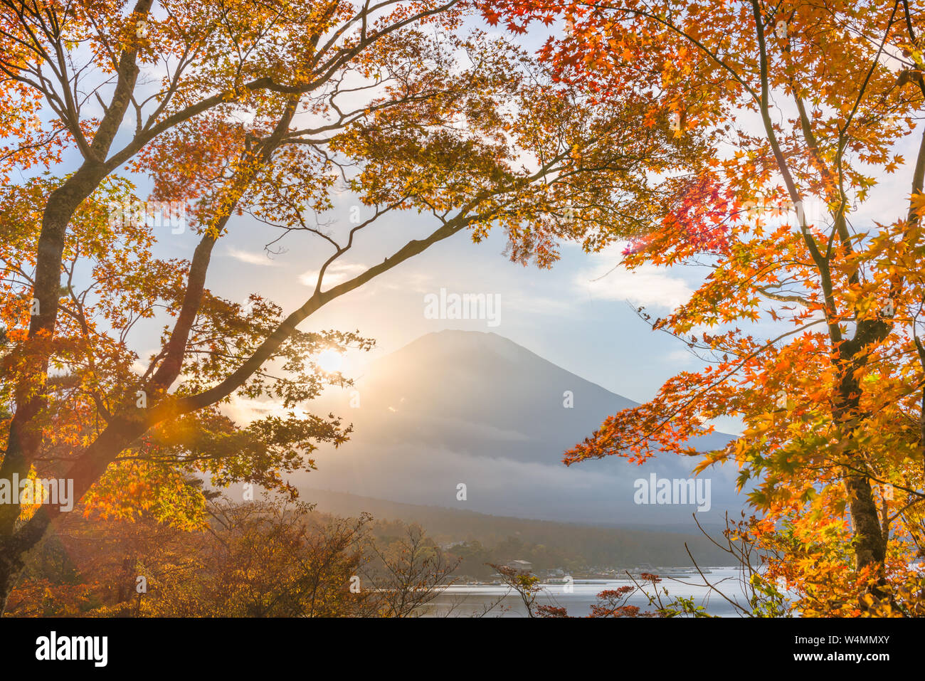 Mt. Fuji, Japan gesehen von Yamanaka Lake mit Herbst Laub. Stockfoto