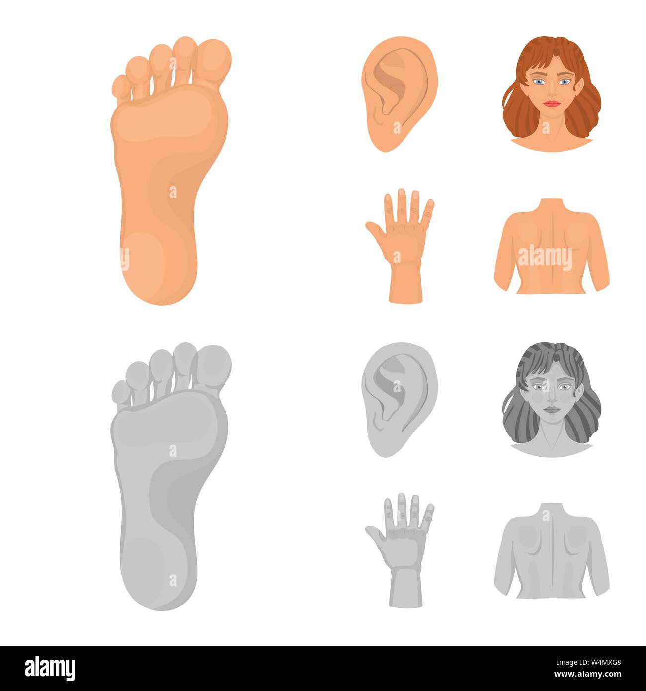 Vector Illustration von Körper und Symbol. Satz von Körper und Anatomie ...