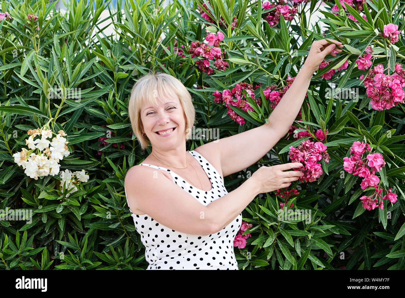 Kaukasische Dame mittleren Alters stellt sich und lacht fröhlich in blühenden Blumen der Oleander. Körper positive und Wechseljahre Konzept, ehrliche Portrait Stockfoto