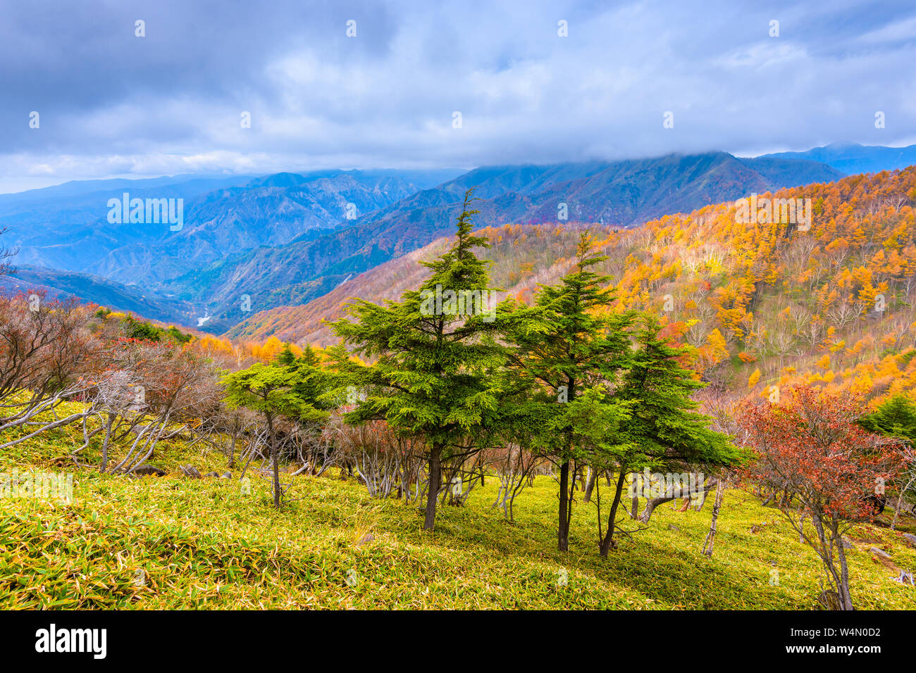 Landschaft in Nikko-Nationalpark in Tochigi, Japan. Stockfoto