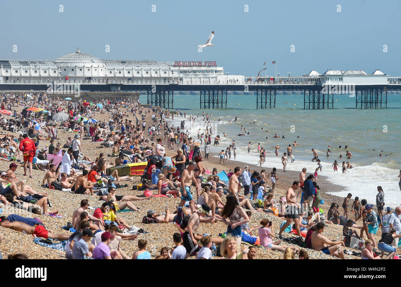 Brighton UK 24. Juli 2019 - Brighton Beach ist wieder wie die heißen, sonnigen Wetter in Großbritannien weiterhin verpackt. Die hitzewelle Bedingungen sind die Aussichten weiterhin Morgen und Temperaturen erwartet werden neue Datensätze mit, wie man es erreichen kann so hoch wie 39 Grad Celsius in London zu schlagen. Foto: Simon Dack/Alamy leben Nachrichten Stockfoto