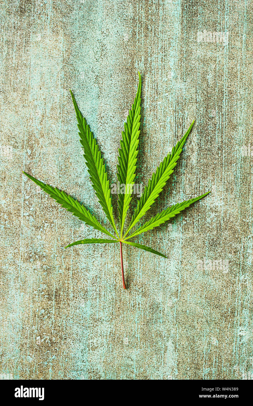 Marihuana Cannabis Blatt auf alten Tisch. Stockfoto