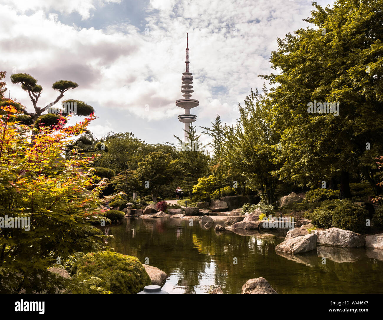 Japanische garten planten un blomen Fotos und Bildmaterial in hoher