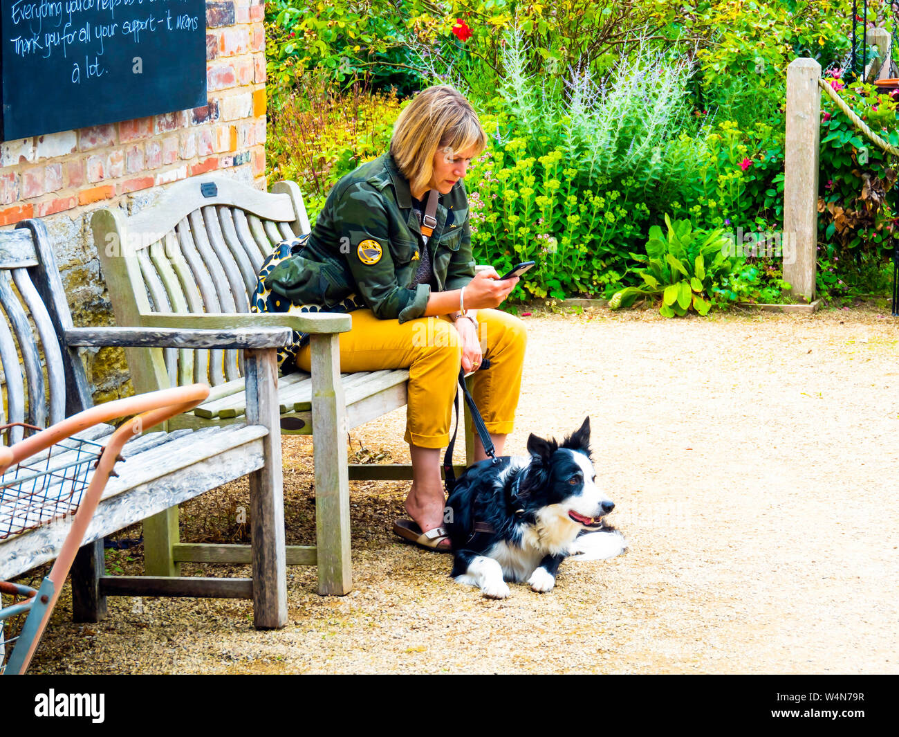 Helmsley ummauerten Garten eine elegant gekleidete junge Frau sitzt und über ein Mobiltelefon mit einem alert Collie Hund Stockfoto