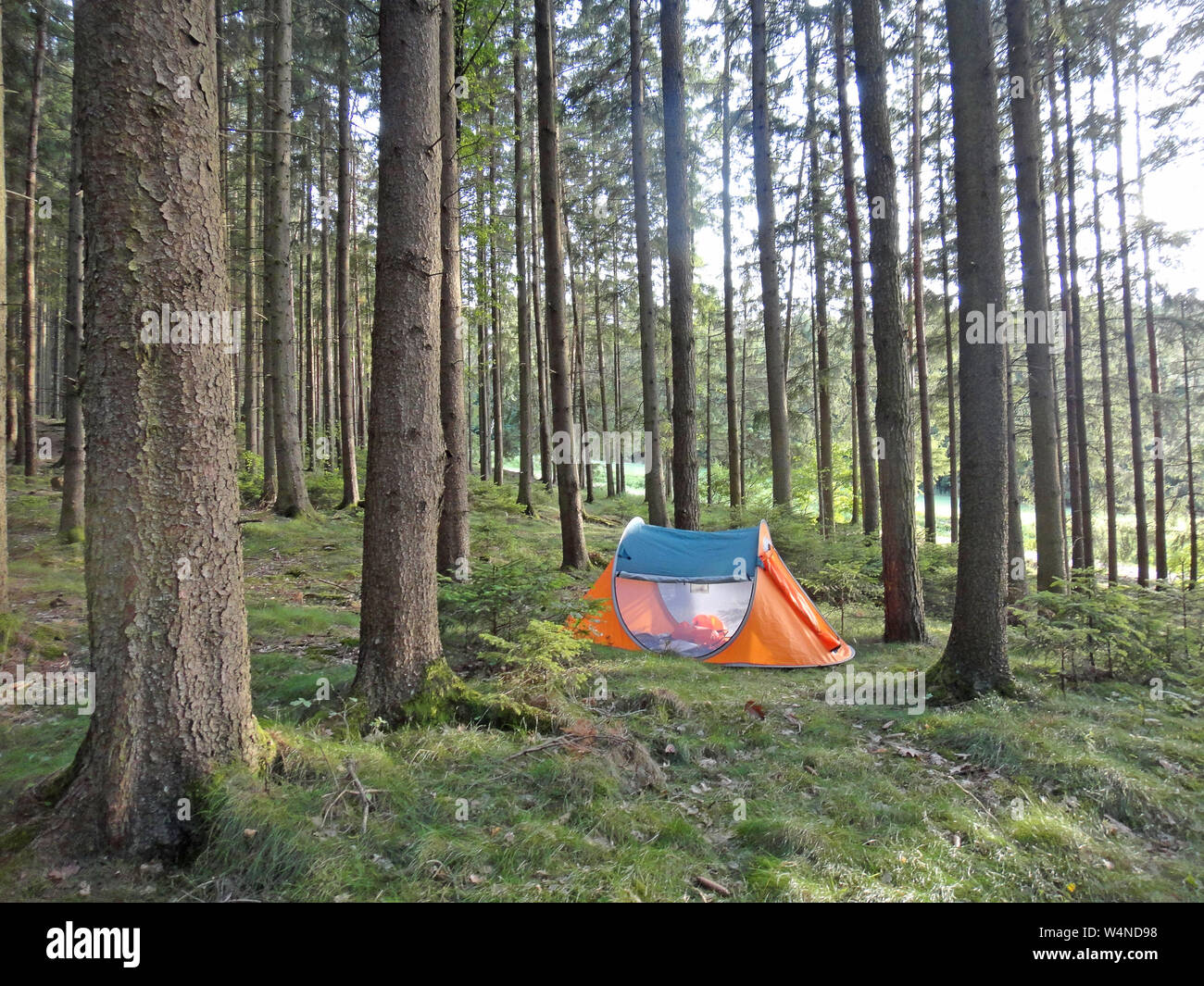 Zwei Sekunden camping Zelt in Wold Wald Hintergrund Fine Art Drucke in hoher Qualität Produkte Stockfoto