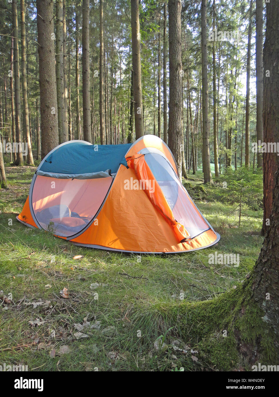 Zwei Sekunden camping Zelt in Wold Wald Hintergrund Fine Art Drucke in hoher Qualität Produkte Stockfoto