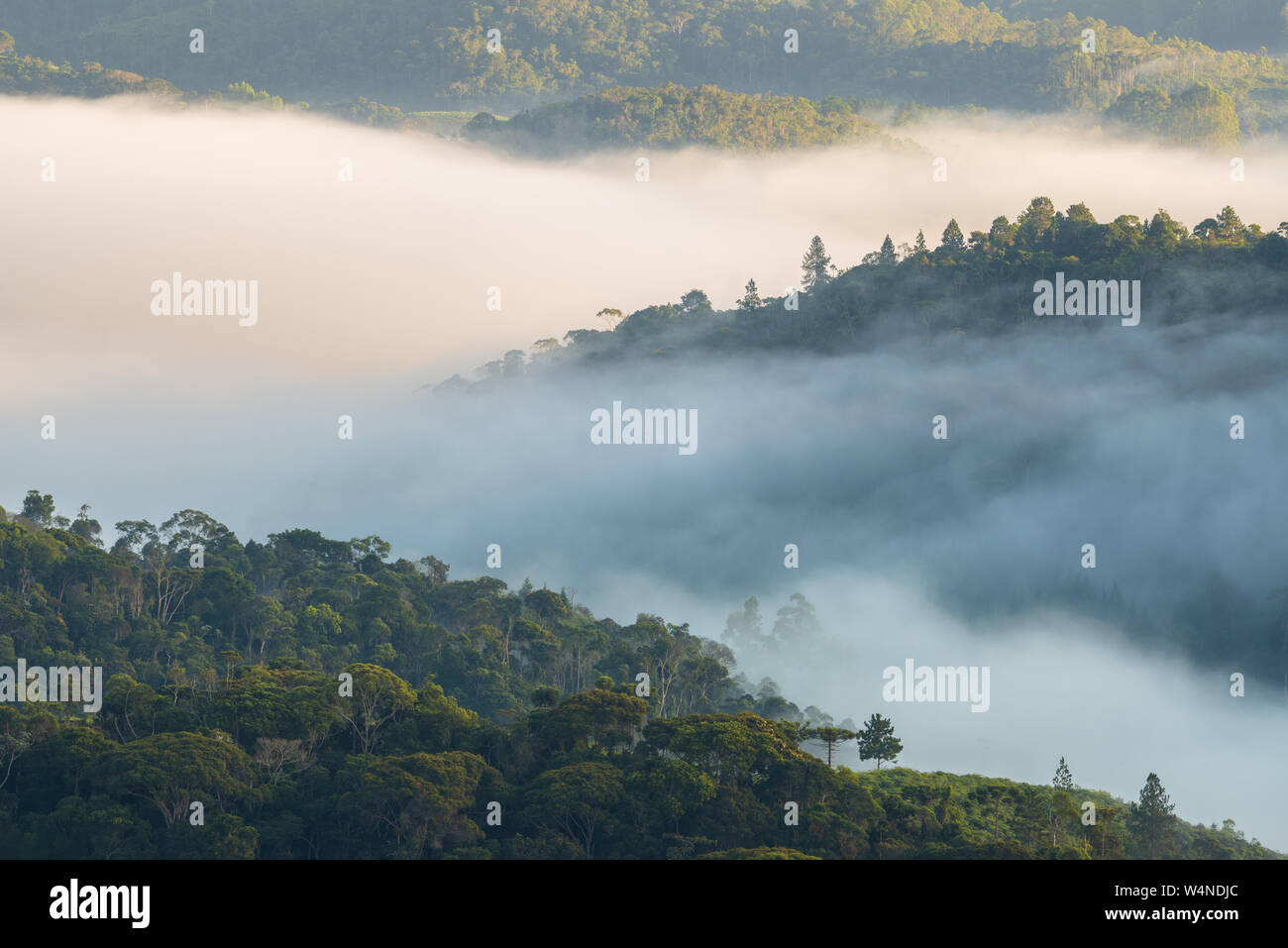 Nebel, die Hügel mit den brasilianischen Atlantischen Wald bedeckt. Domingos Martins, Espirito Santo, Brasilien. Stockfoto