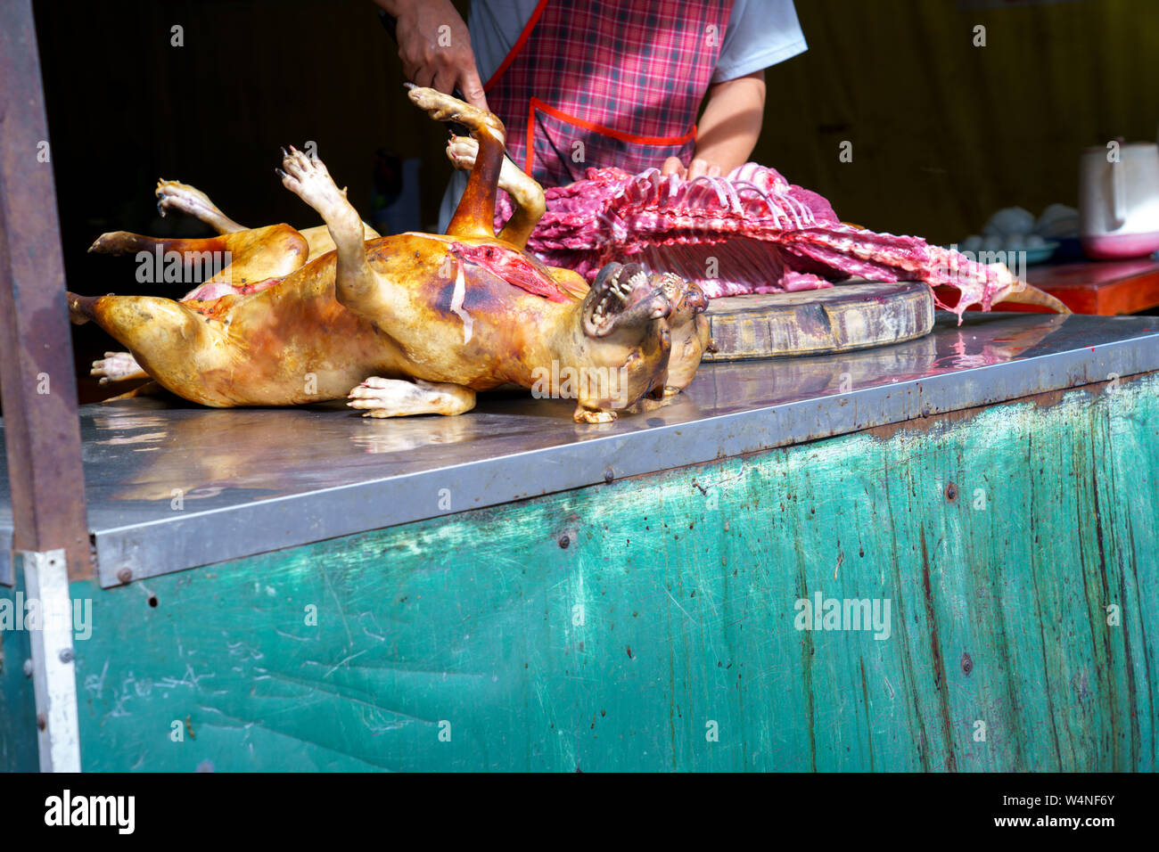 Mann seziert, Pay Hund Fleisch toter Körper verkaufen Gegrilltes für Grill Street Food von Vietnam. Essen ist schwierig. Stockfoto