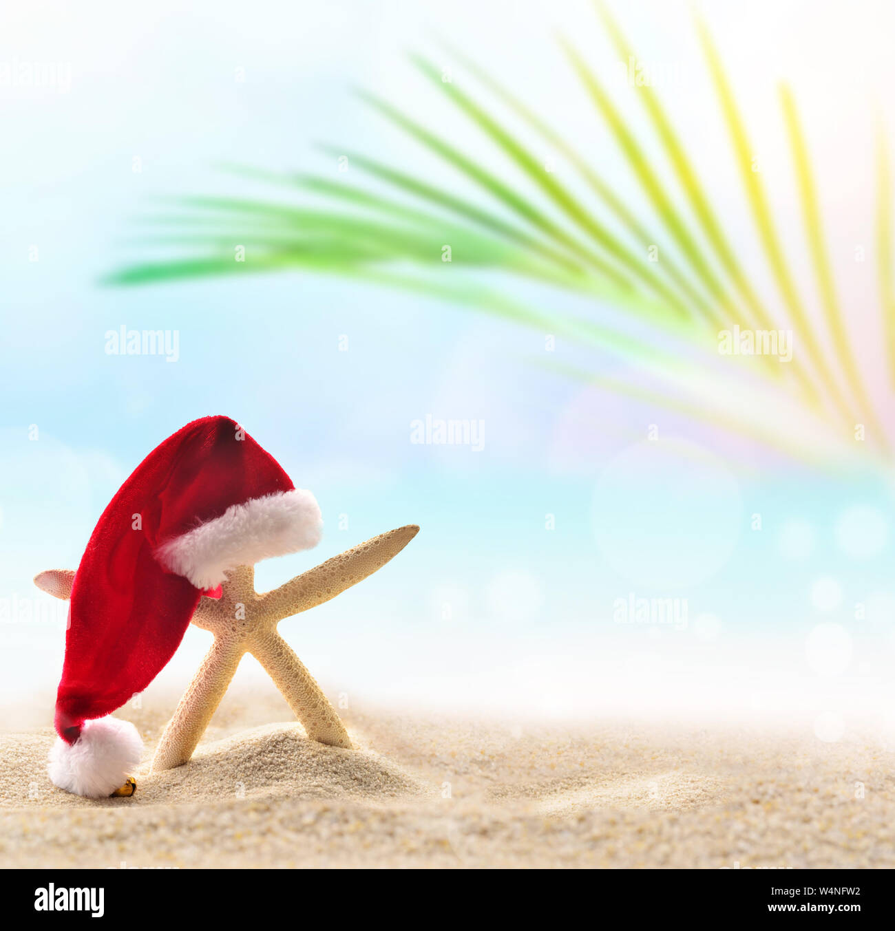 Seesterne in Santa Hut auf dem Sommer Strand. Weihnachten Konzept. Stockfoto