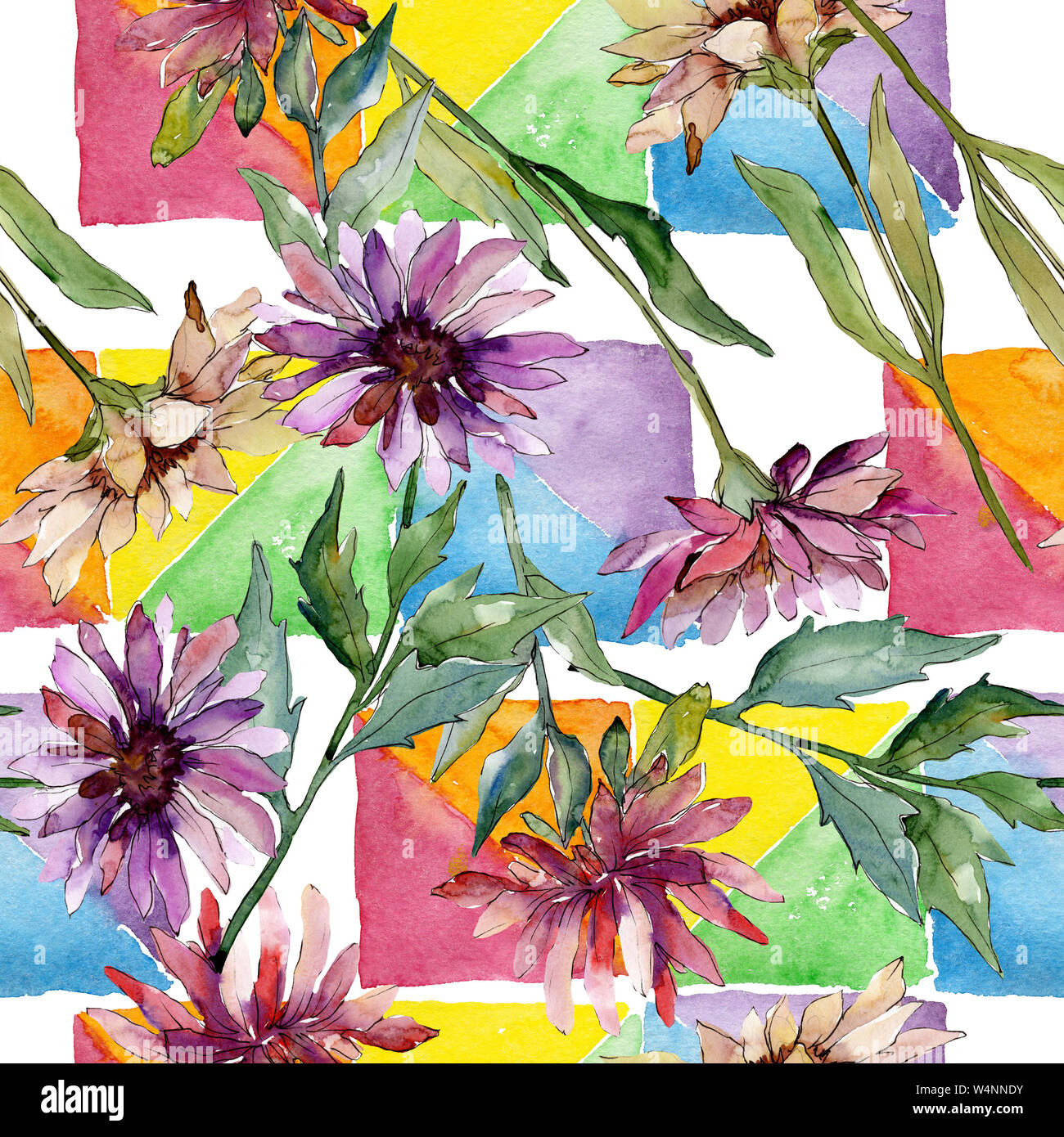 Aster floral botanischen Blumen. Aquarell Hintergrund Abbildung. Nahtlose Muster. Stockfoto