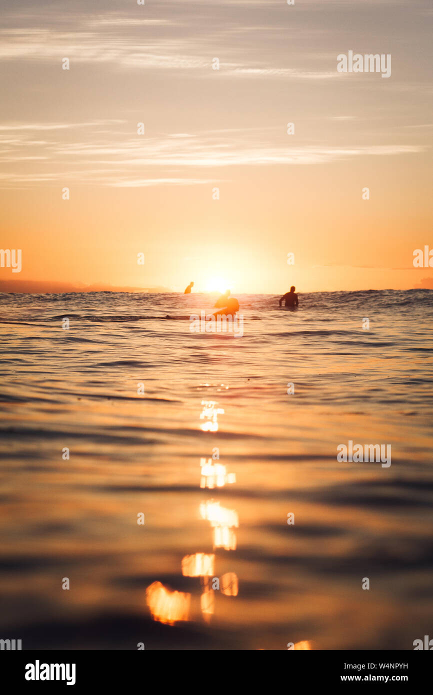 Goldene Stunde während ein gutes Surfen auf Teneriffa Stockfoto