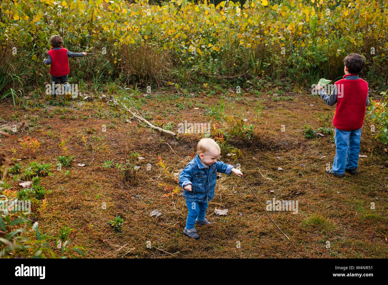 Drei kleine Kinder spielen zusammen in einer goldenen Feld Stockfoto