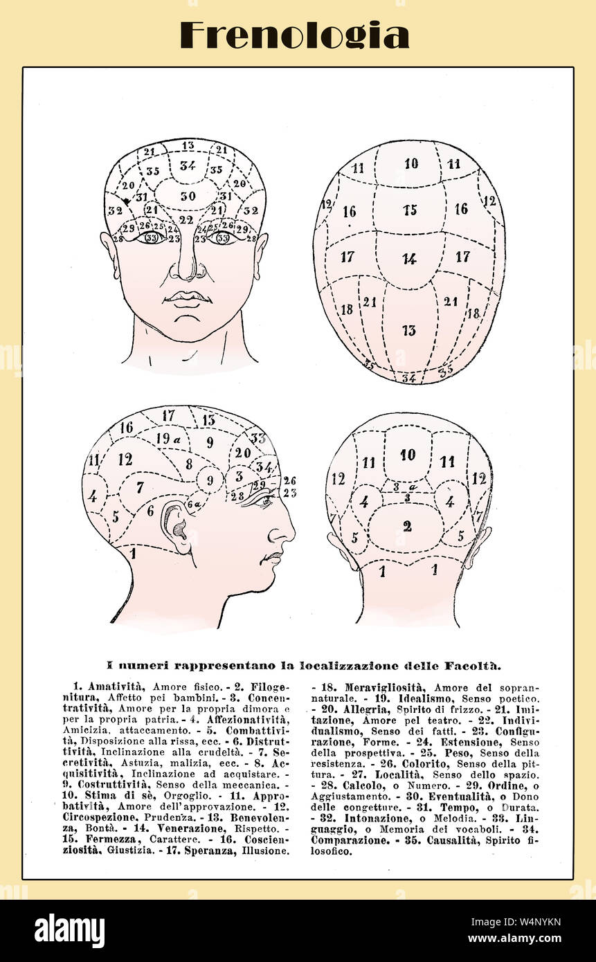 Alternative und pseudo-Medizin: phroenology Warenkorb über das Gehirn Lokalisierung von psychischen Funktionen, vintage Tabelle early'900 Stockfoto