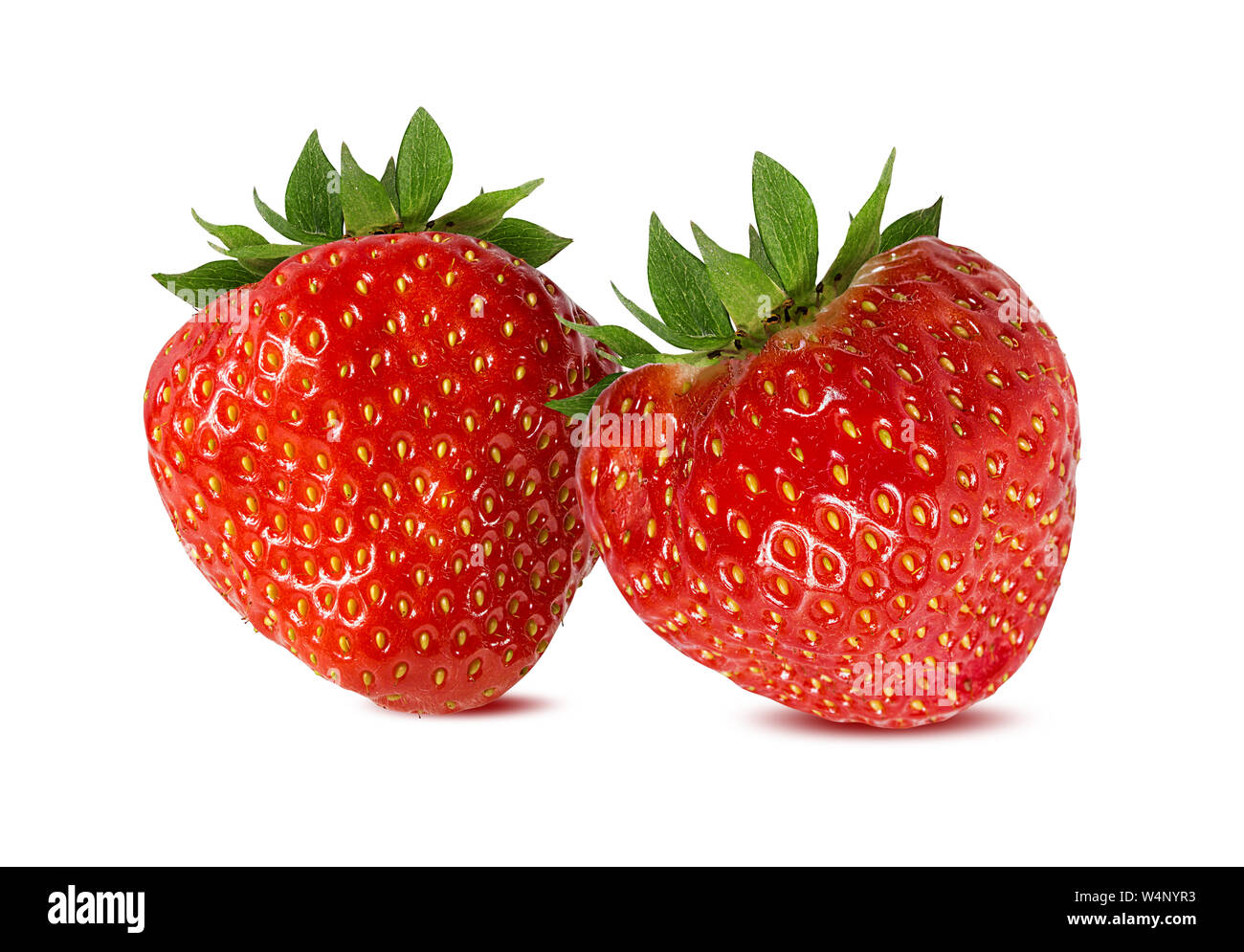 Erdbeere auf dem weißen Hintergrund isoliert Stockfoto