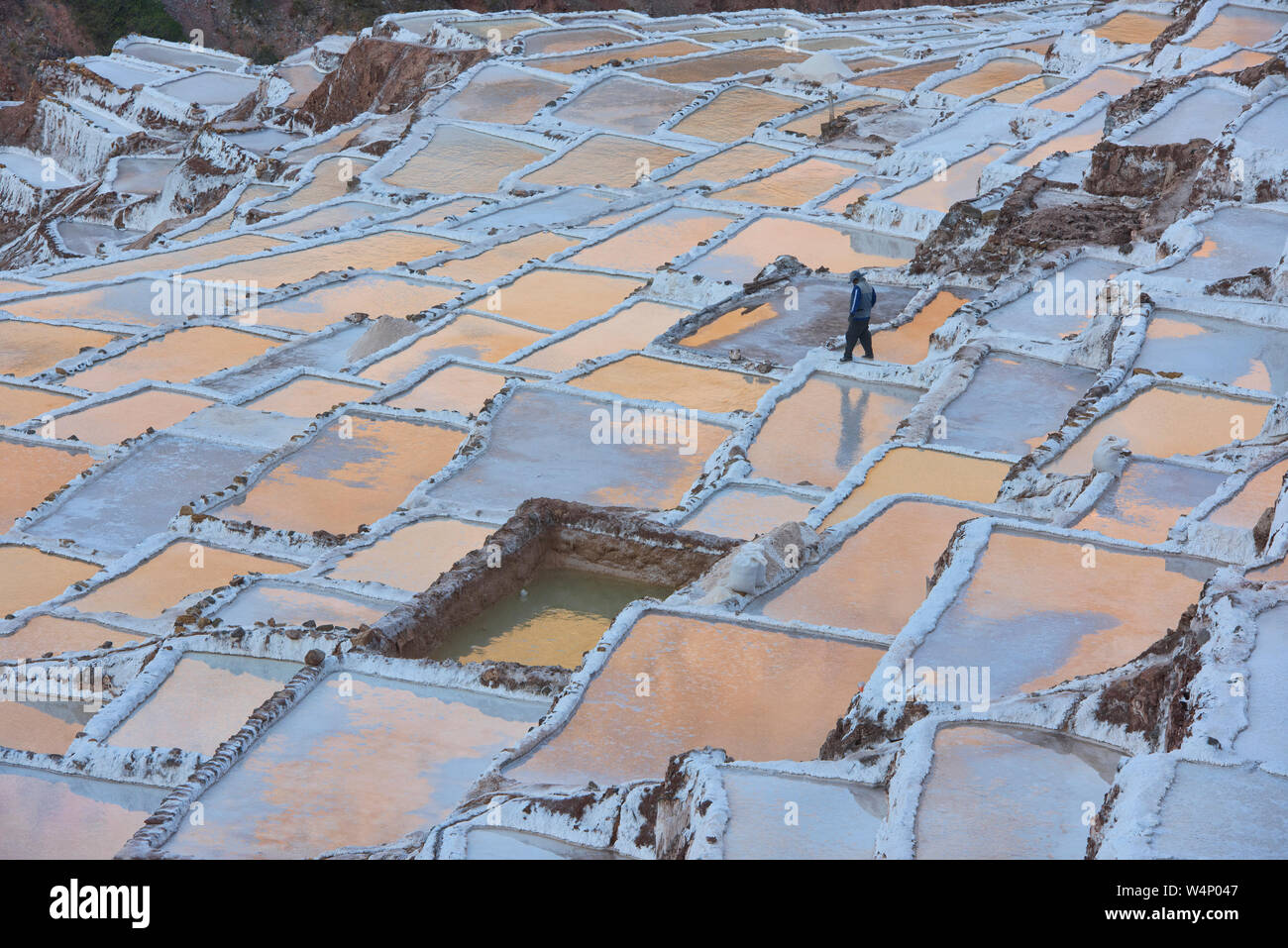 Sonnenuntergang Reflexionen über die Salinen von Maras, das Heilige Tal, Peru Stockfoto