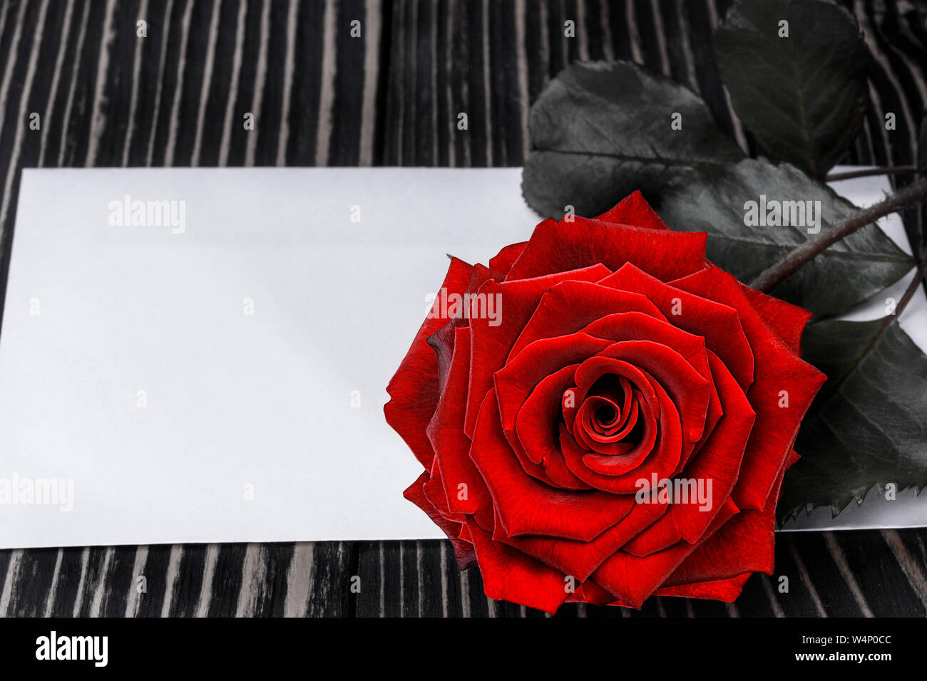 Rose und Hinweis auf dem Holztisch Stockfoto