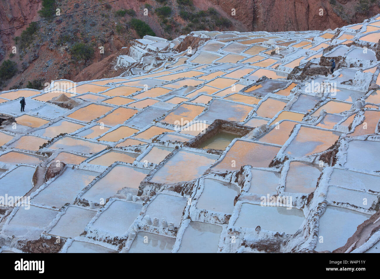 Sonnenuntergang Reflexionen über die Salinen von Maras, das Heilige Tal, Peru Stockfoto