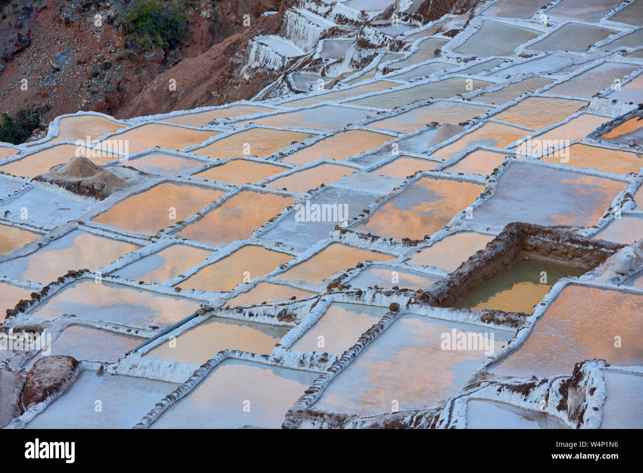 Sonnenuntergang Reflexionen über die Salinen von Maras, das Heilige Tal, Peru Stockfoto