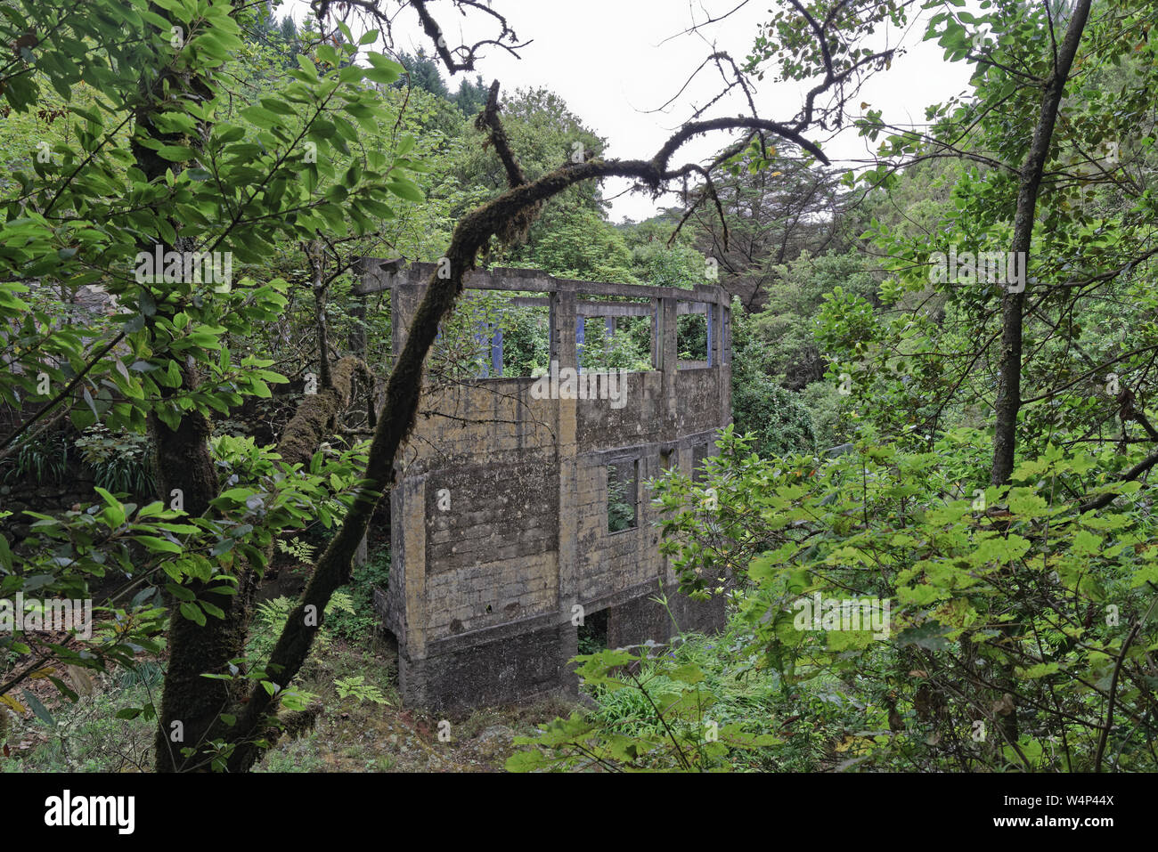 Gebäude Ruinen in einem Wald. Stockfoto