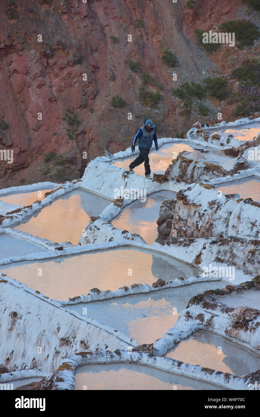 Arbeiter auf dem Maras Salinen bei Sonnenuntergang, das Heilige Tal, Peru Stockfoto
