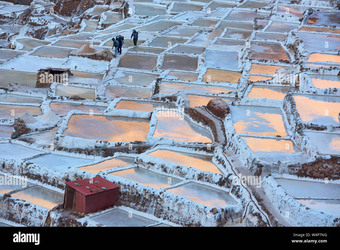 Arbeiter auf die Maras Salinen bei Sonnenuntergang, das Heilige Tal, Peru Stockfoto
