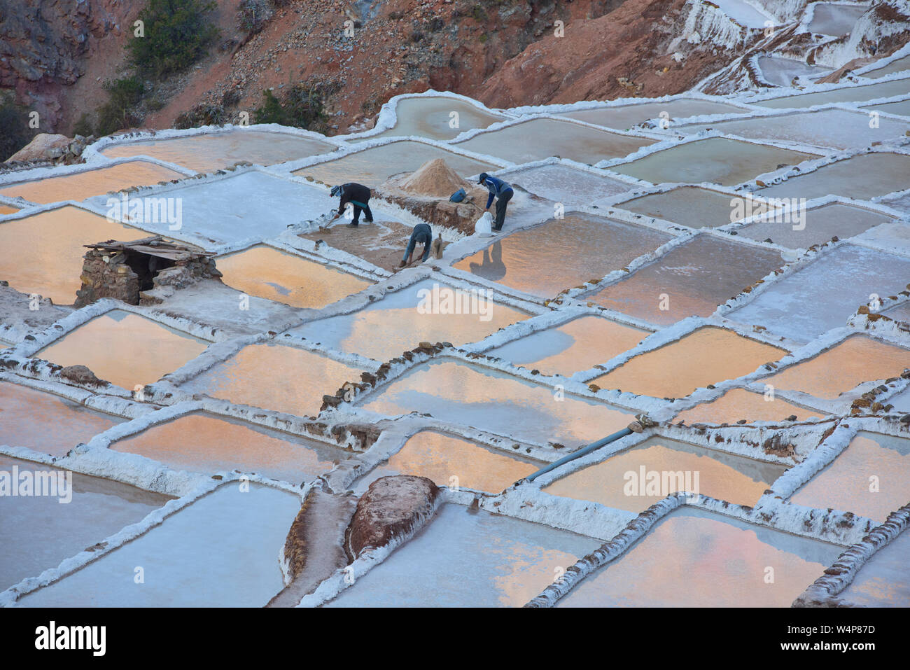 Arbeiter auf die Maras Salinen bei Sonnenuntergang, das Heilige Tal, Peru Stockfoto