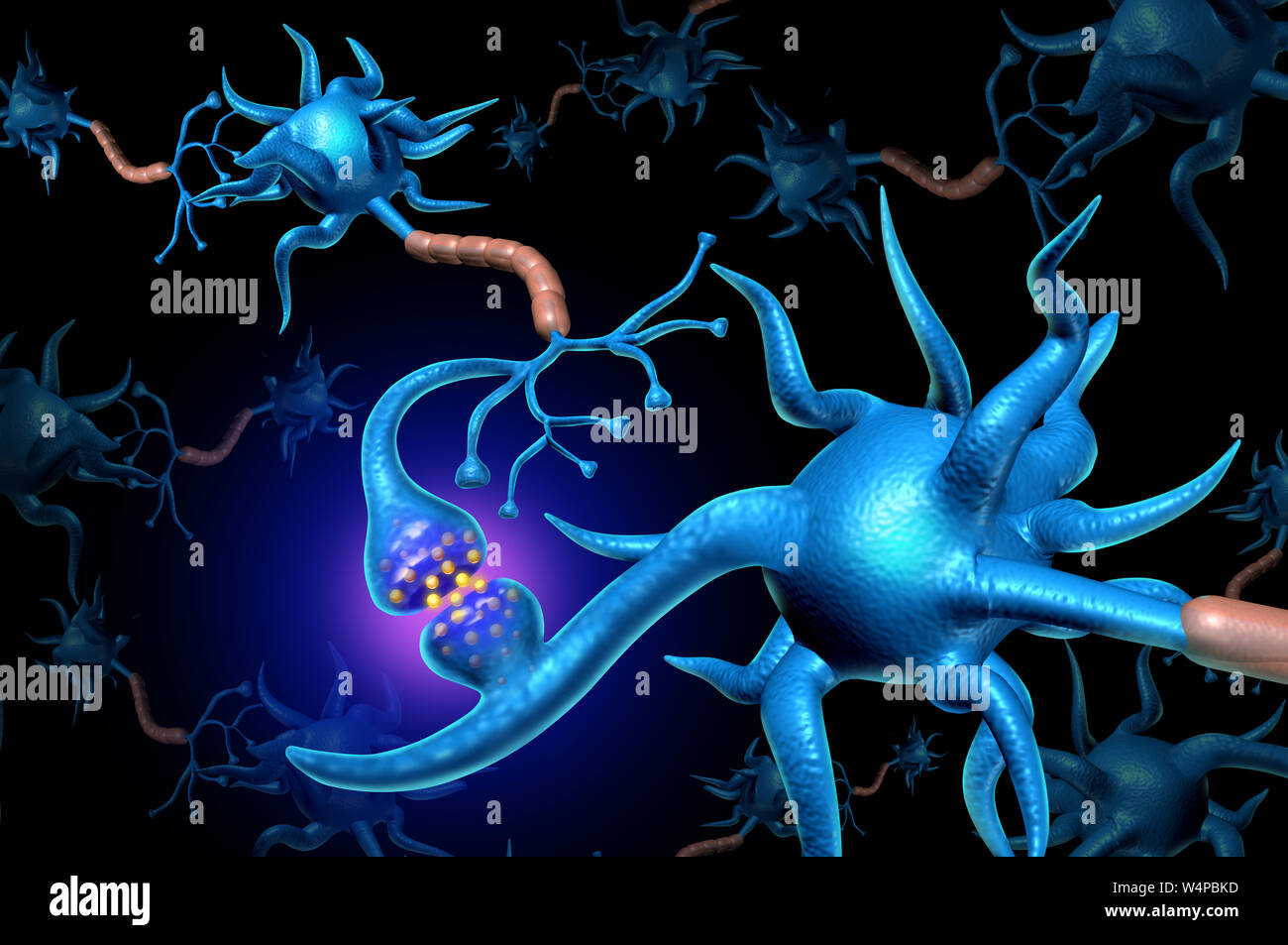 Nervenzellen Synapse und Neuron Funktion Anatomie es ein elektrisches Signal als Neurologie Gehirn Wissenschaft Diagramm Konzept auf den Speicher beziehen. Stockfoto