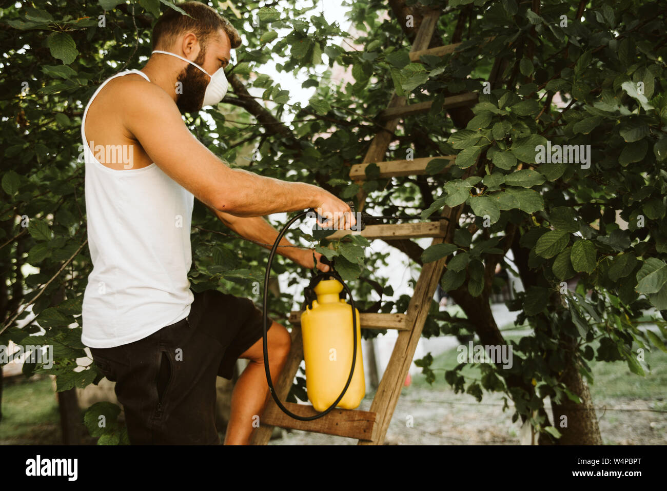 Harte Arbeit bringt immer erfolgreich Auswirkungen Stockfoto