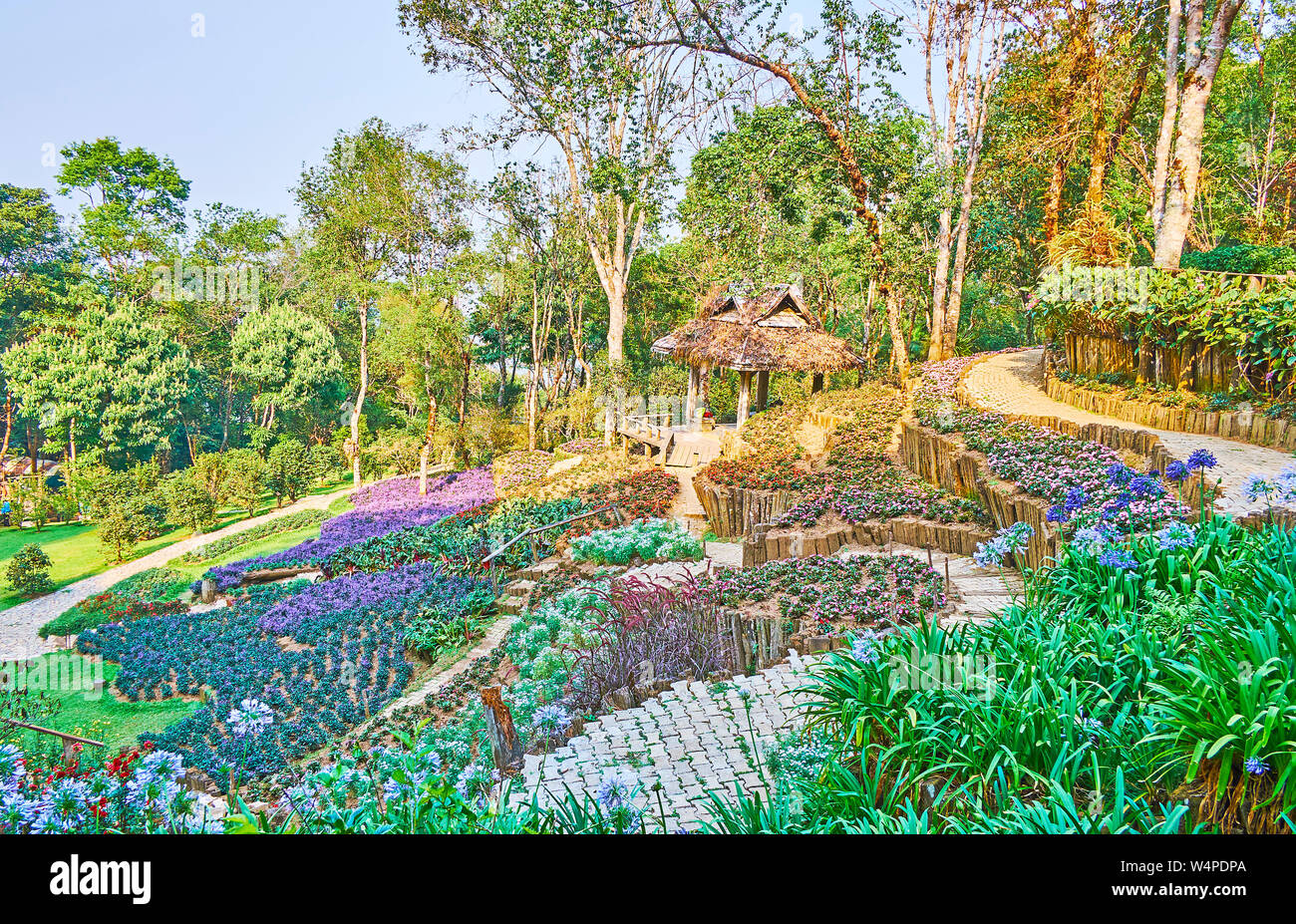 Die Steigung der Doi Chang Moob Bergkette ist mit Blumenbeeten, Rhododendren und seltene Pflanzenarten von Mae Fah Luang Arboretum, Chiang Rai, T abgedeckt Stockfoto