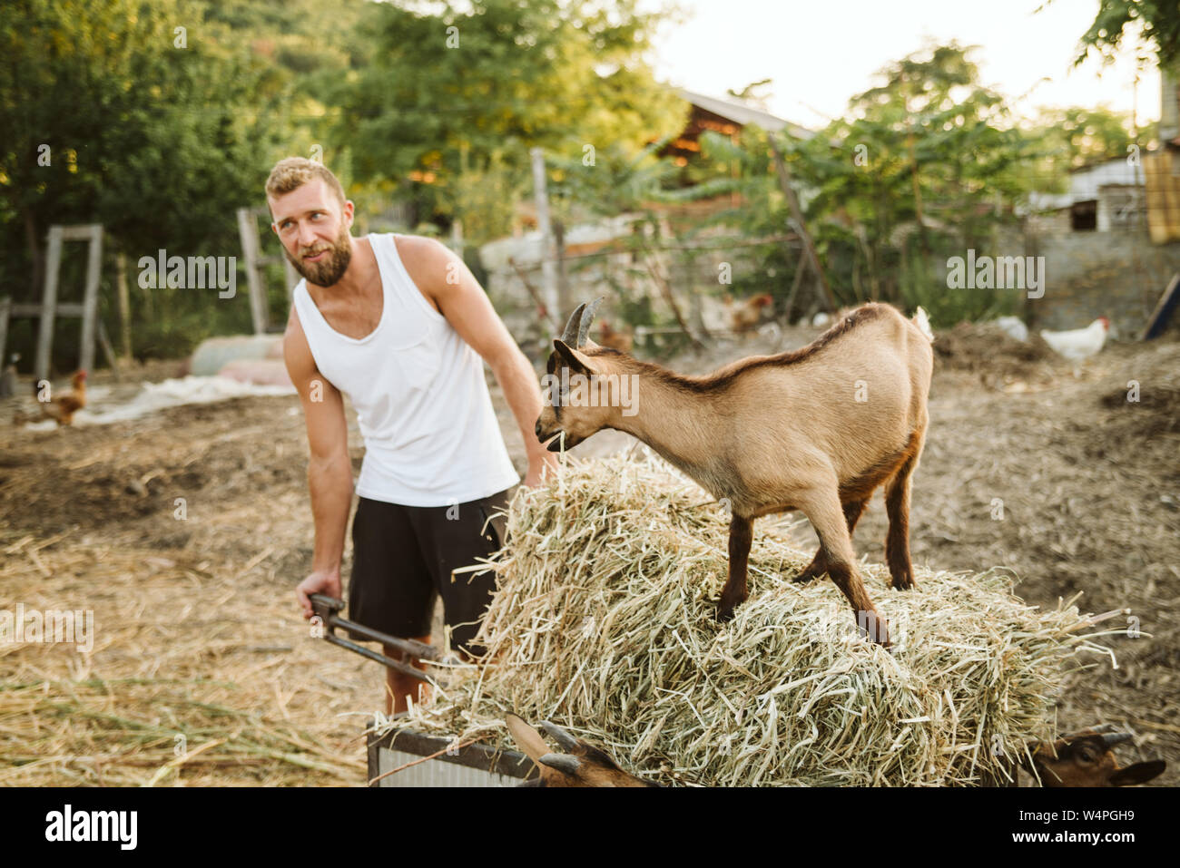 Junge Landwirt auf dem Bauernhof mit Ziegen. Stockfoto