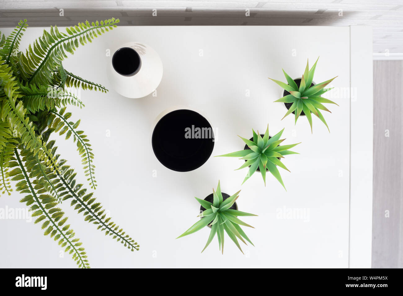 Saubere, moderne Dekoration Pflanzen und Vasen auf dem Regal Stockfoto