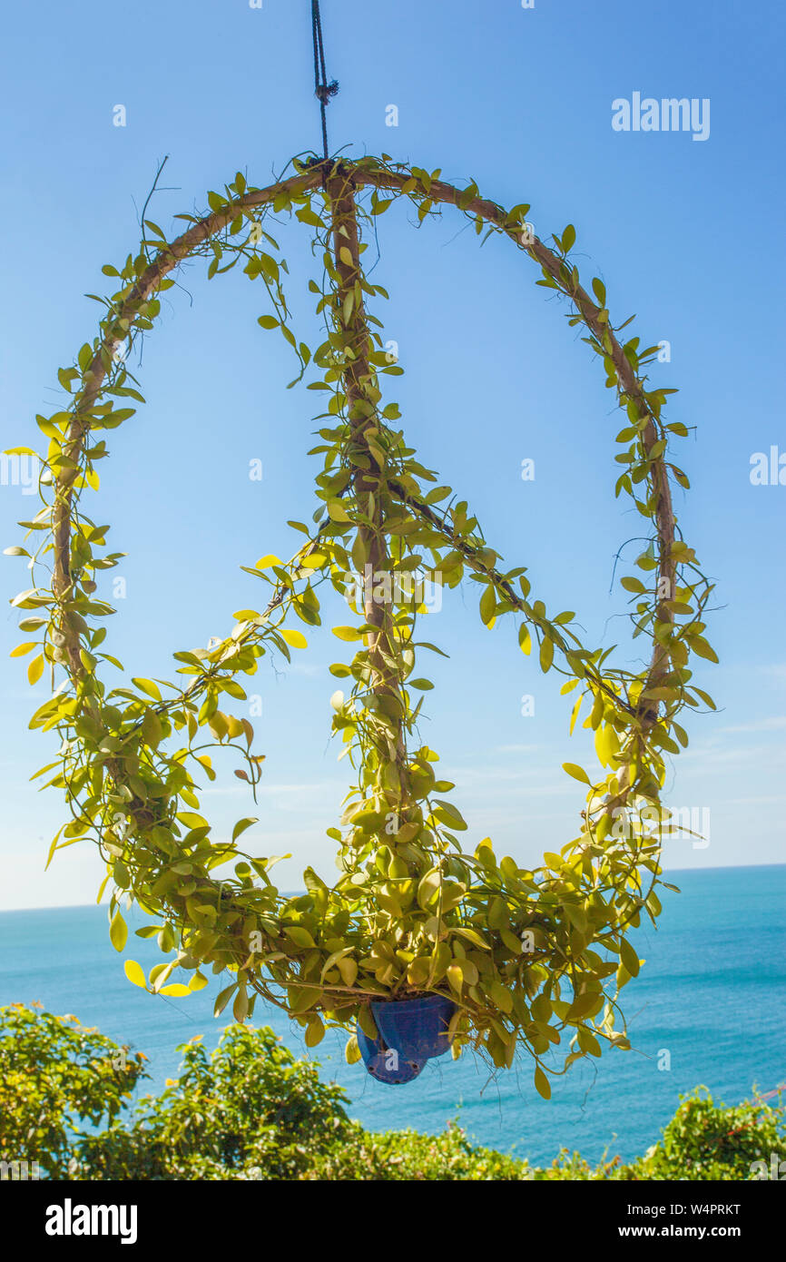 Greenpeace Logo Stockfoto