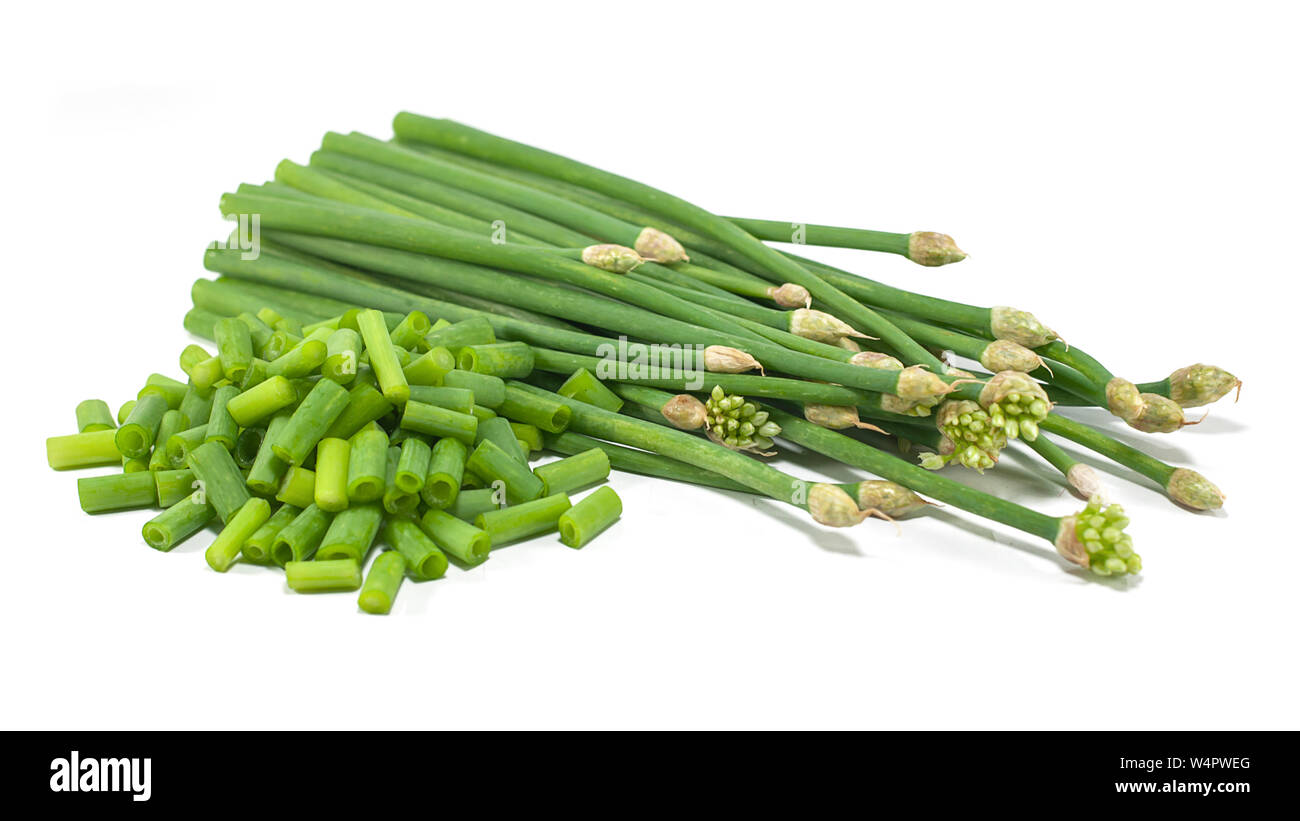 Schnittlauch Blüte oder Allium tuberosum isoliert auf weißem Hintergrund ausschneiden Stockfoto