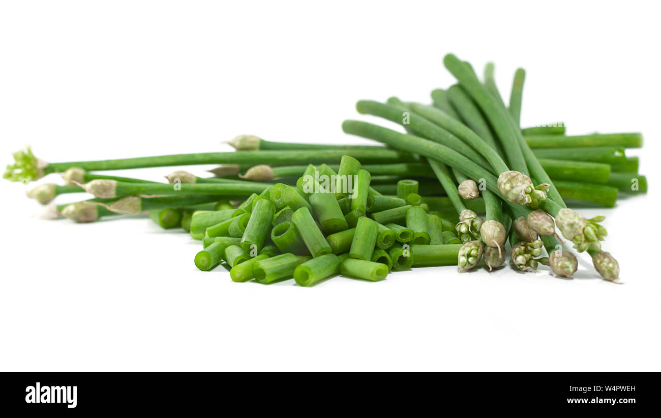 Schnittlauch Blüte oder Allium tuberosum isoliert auf weißem Hintergrund ausschneiden Stockfoto