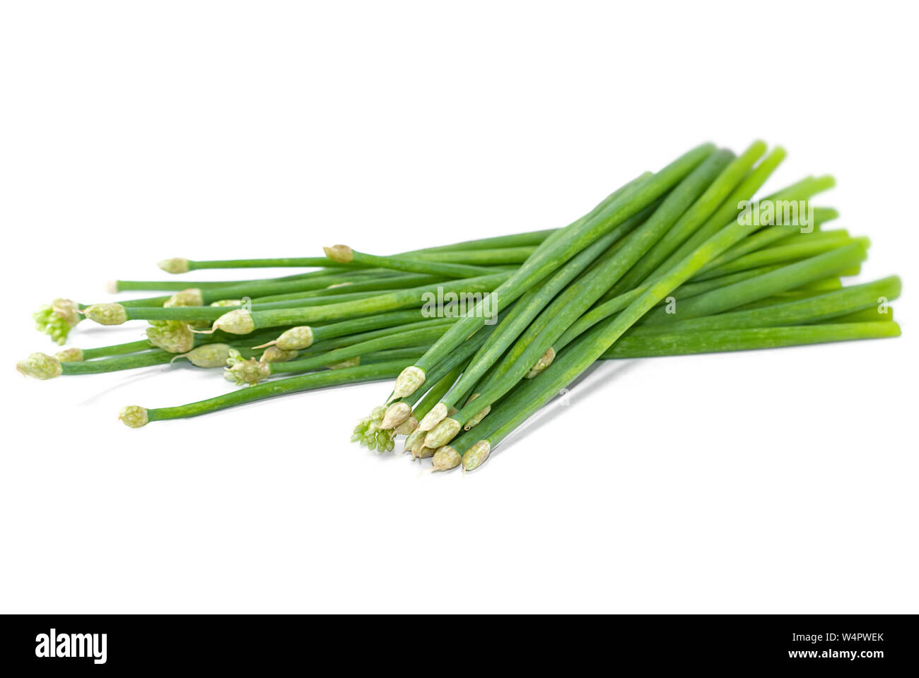 Schnittlauch Blüte oder Allium tuberosum isoliert auf weißem Hintergrund ausschneiden Stockfoto