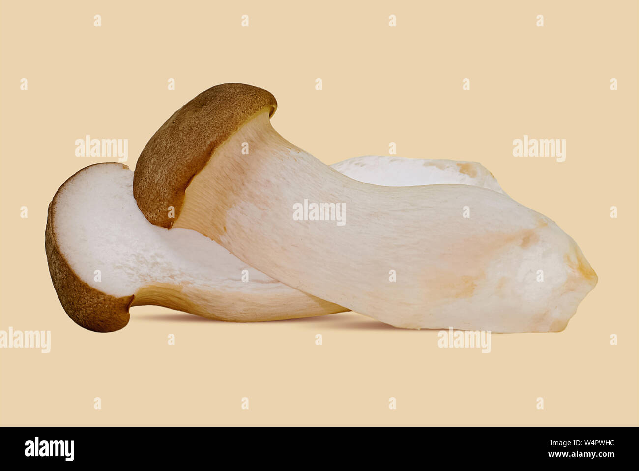 King oyster mushroom Fotos und Bildmaterial in hoher Auflösung Alamy