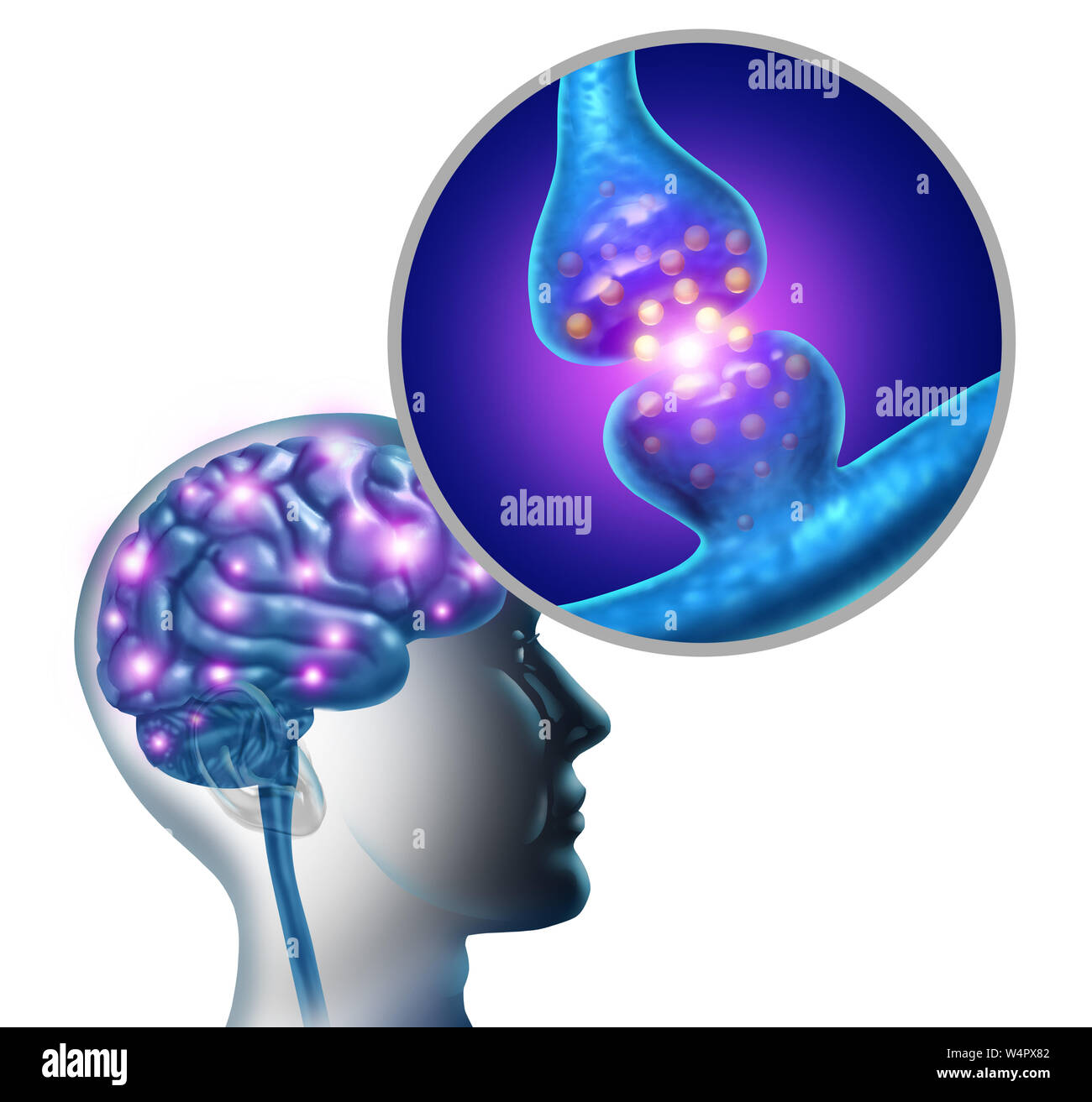Gehirn Nervenzellen Synapse und Neuron Funktion Anatomie es ein elektrisches Signal als Neurologie Geist Wissenschaft Diagramm Konzept auf den Speicher beziehen. Stockfoto