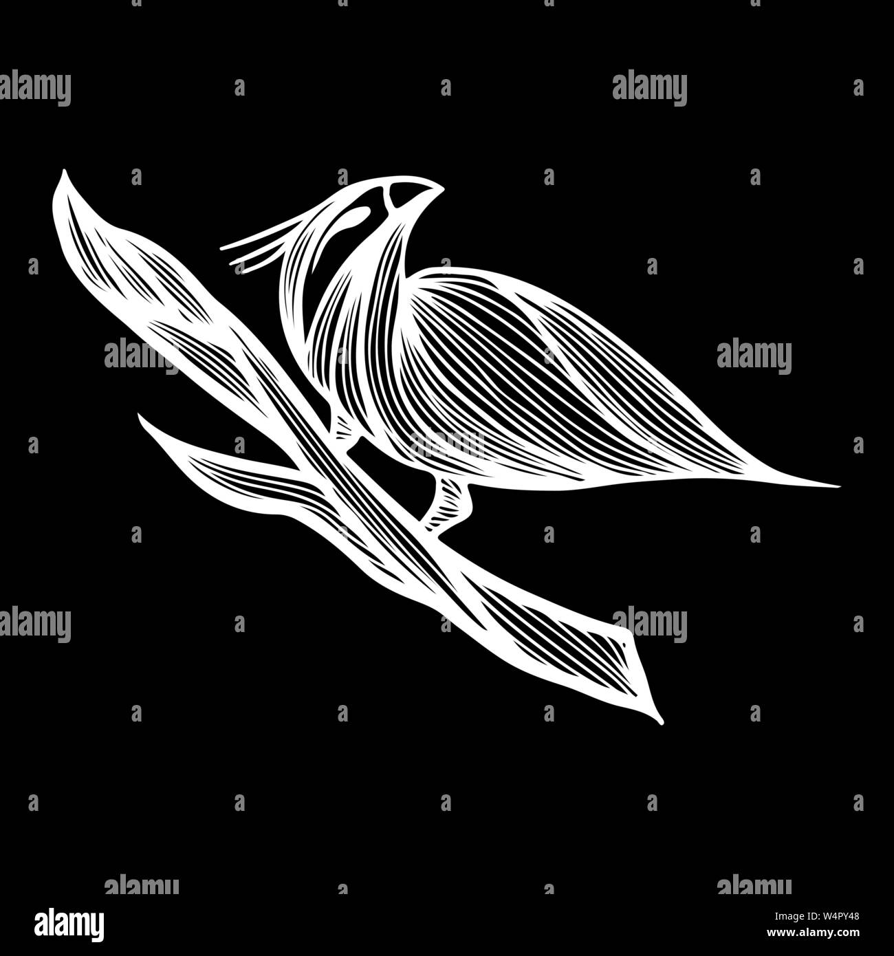 Vogel handgezeichnete Niederlassung in outline Style auf weißem Hintergrund. Hintergrund Vector Illustration. Vogel handgezeichnete Zweig in der abstrakten Stil. Vektor desi Stock Vektor