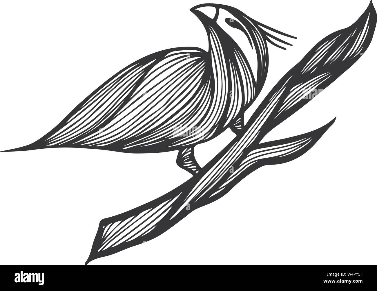 Vogel handgezeichnete Niederlassung in outline Style auf weißem Hintergrund. Hintergrund Vector Illustration. Vogel handgezeichnete Zweig in der abstrakten Stil. Vektor desi Stock Vektor