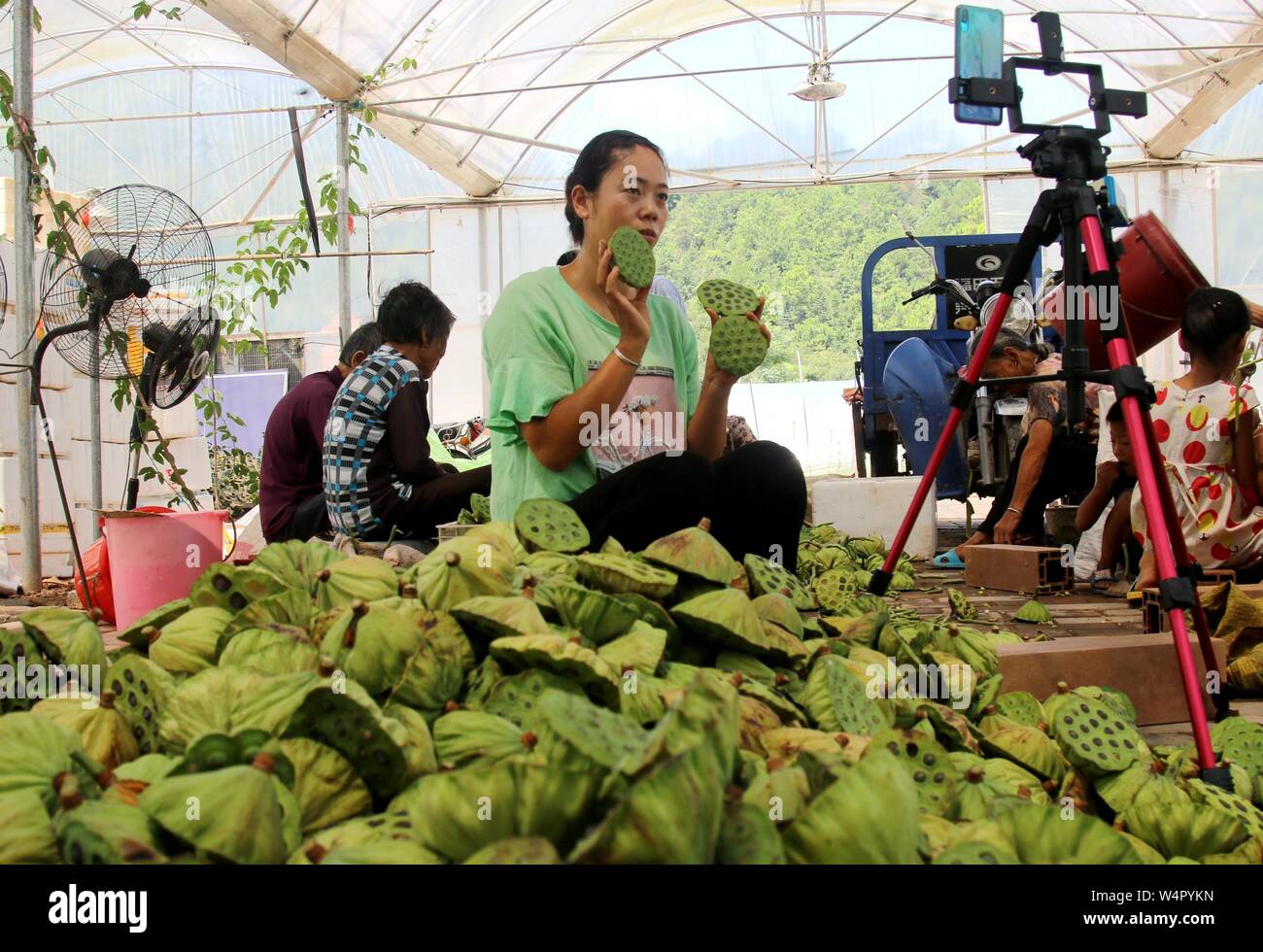 Juli 25, 2019, Jiangxi, Jiangxi, China: Jiangxi, China - (redaktionelle Verwendung. CHINA) Am 24. Juli 2019, ZhangJiuying, ein Landwirt, frisch verkauft Lotus Samen von der Basis nach Peking, Guangzhou und anderen Orten durch die live-Übertragung auf Ihr Mobiltelefon aufgenommen am bihewan industriellen Basis, hongshan Dorf, Stadt, bizhou suichuan County, Jiangxi Provinz Jiangxi suichuan e-commerce in ländlichen effiziente Praxis und Strom typische Muster für die Linderung der Armut, "Live wechat Business kurze Video'' als das wichtigste Mittel, durch freie on-line-strom Business Training, Tracking, guid Stockfoto