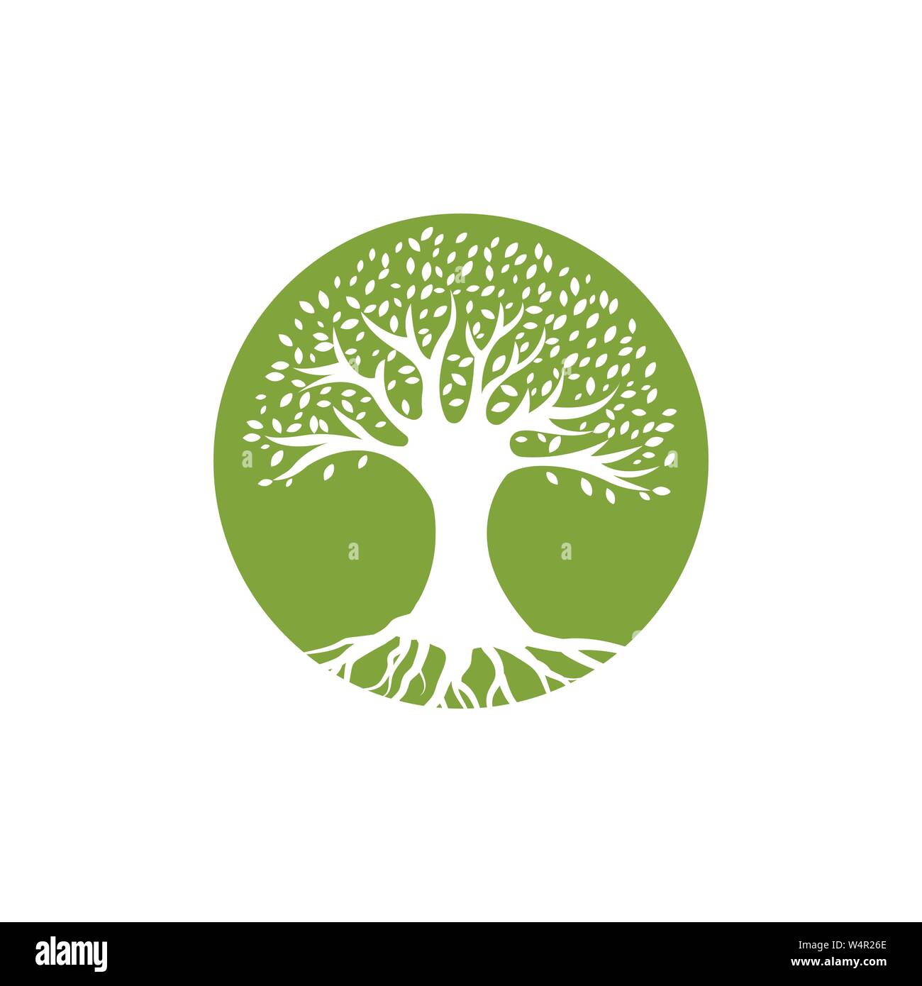 Olive Tree Vector Illustration Design Template Stock Vektor