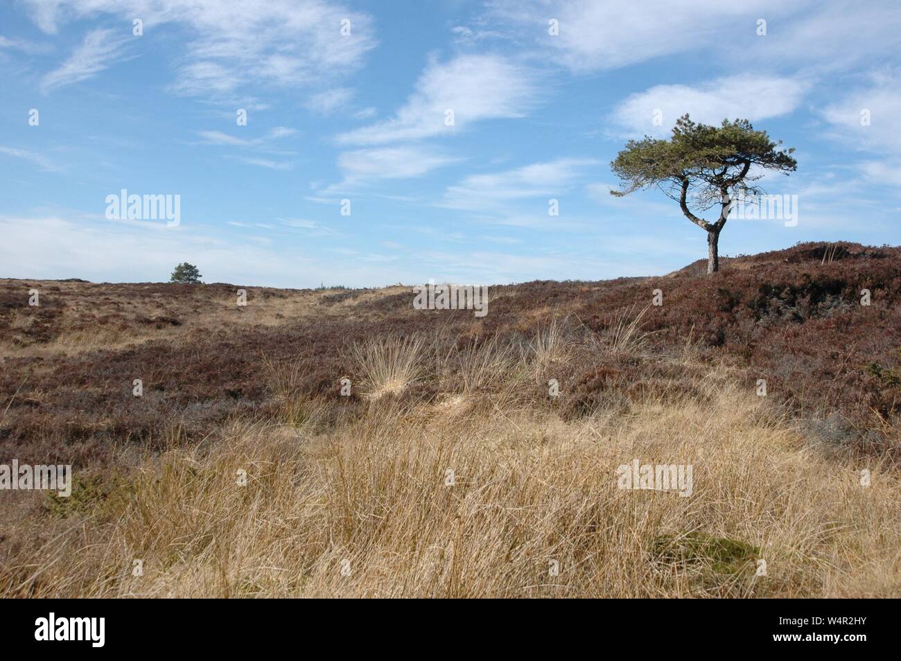 Schottisches Hochland Stockfoto