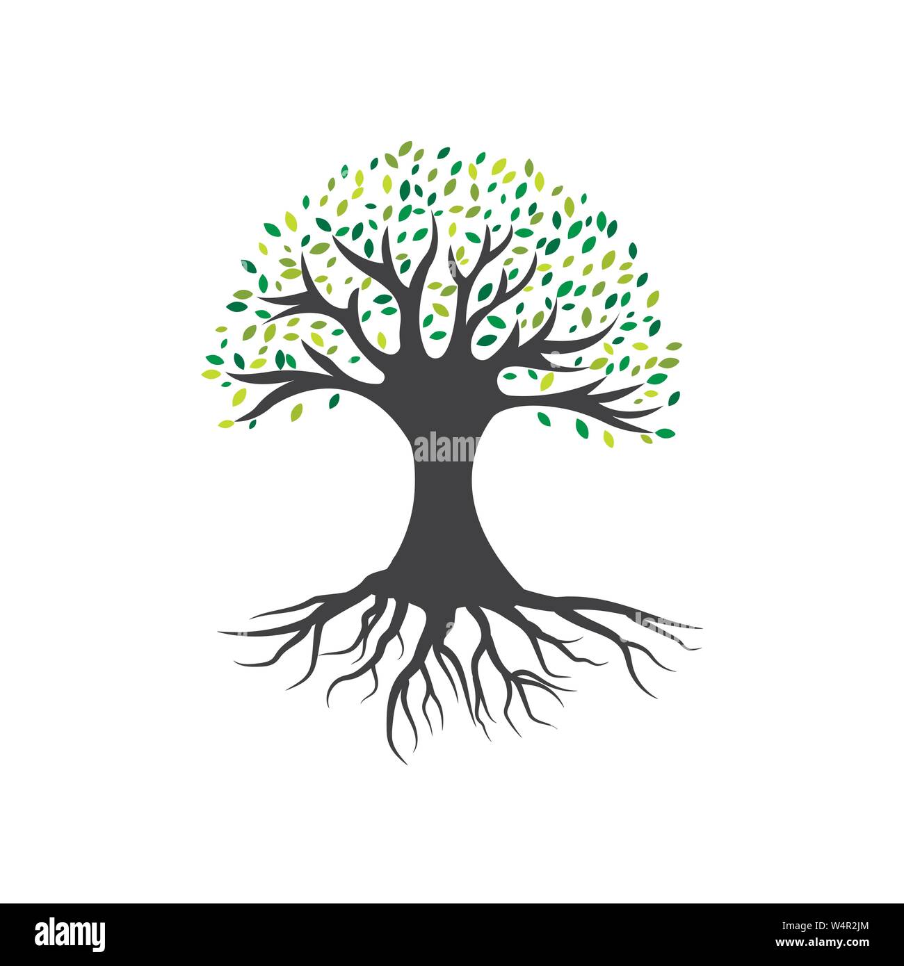 Olive Tree Vector Illustration Design Template Stock Vektor