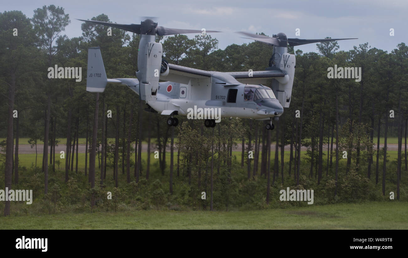 Ein Japan Masse Verteidigung-kraft (JGSDF) V-22 Osprey bereitet bei der Marine Corps Air Station New River, North Carolina, 9. Juli 2019 zu landen. Marines Marine Medium Tiltrotor Training Squadron 204 und JGSDF Soldaten zugeordnet leitete einen begrenzten Bereich Landung Übung im Rahmen der integrierten Ausbildung, die Stärkung der Beziehungen und der Interoperabilität zwischen der Nordatlantikvertrags-organisation Verbündete. (U.S. Marine Corps Foto von Lance Cpl. Elias E.Pimentel III) Stockfoto