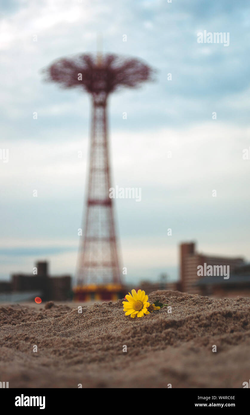 Fallschirm auf Coney Island, NY Stockfoto