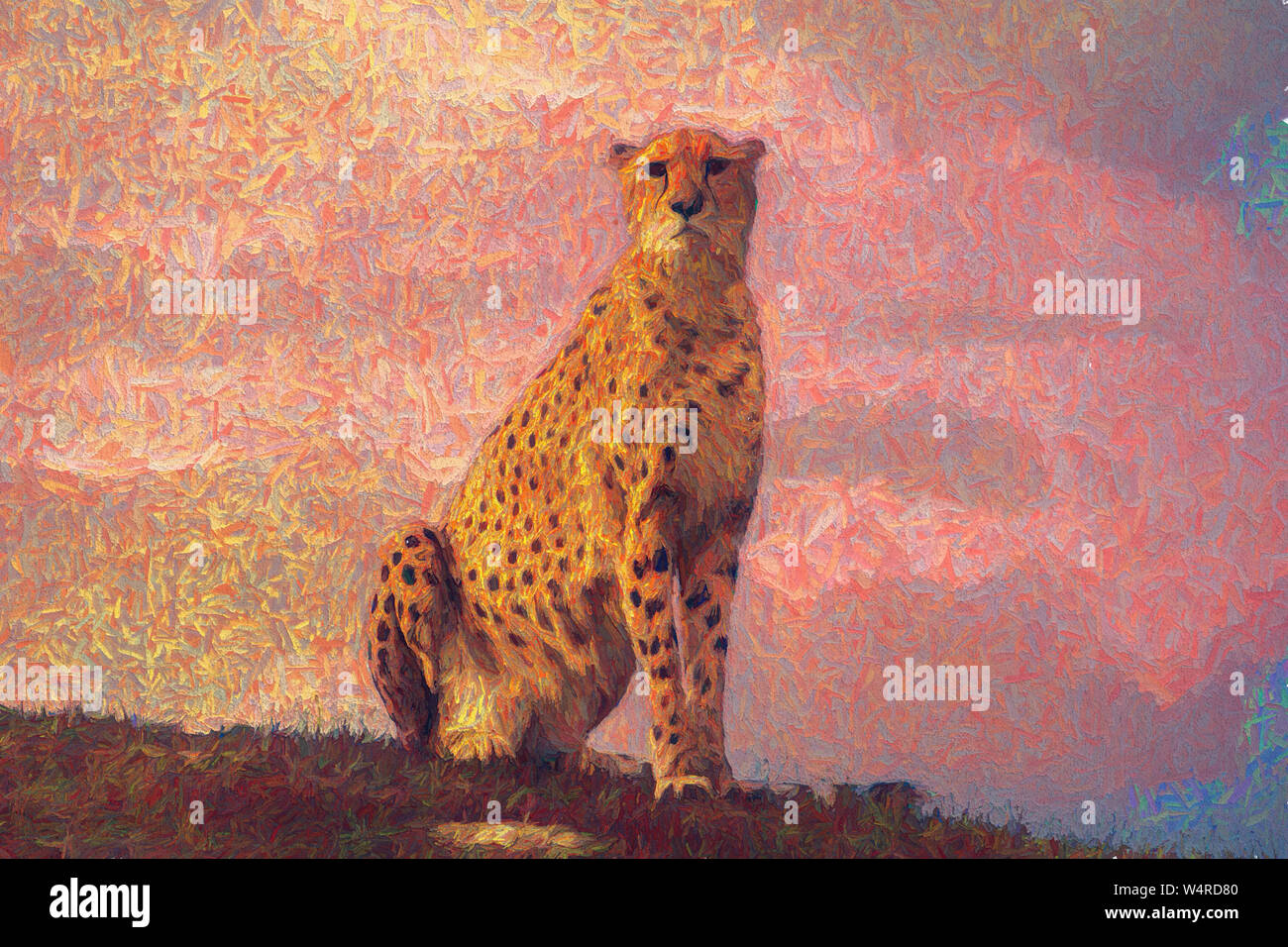 Gepard sitzend Stockfoto