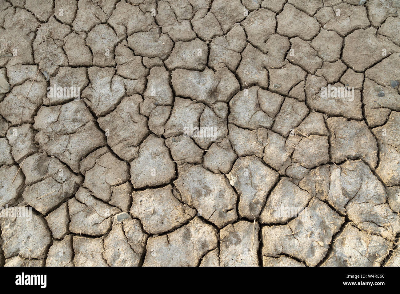 Ein ausgetrocknet und rissig Riverbed Stockfoto
