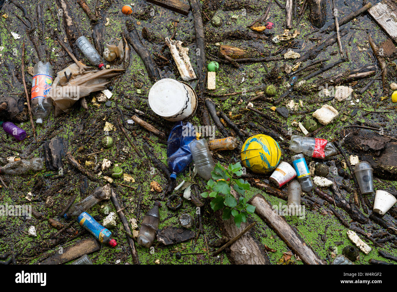Detail von Müll auf der Oberfläche der Wasser des Leith Fluss in Leith nach starken Regenfällen, Schottland, Großbritannien Stockfoto