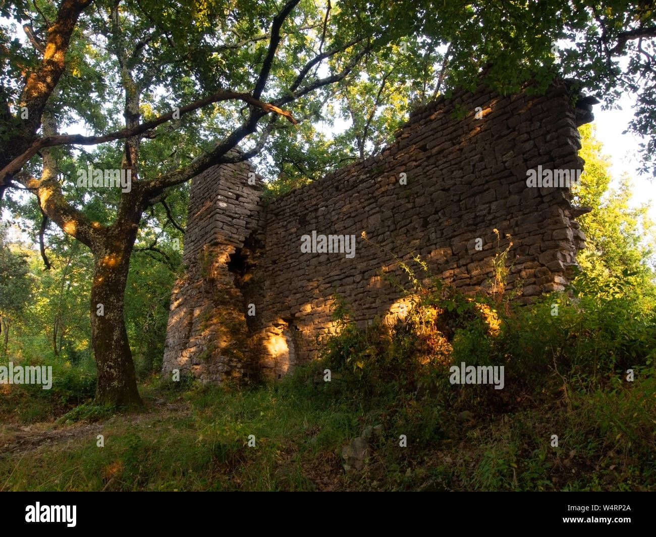 Kirche des Heiligen San Lorenzo in den Wäldern über Rapallo, Ligurien, Italien. Ruinen jetzt heißt es, die bis in das 12 Jahrhundert zurück. Beleuchtete durch Golden Sunset. Stockfoto