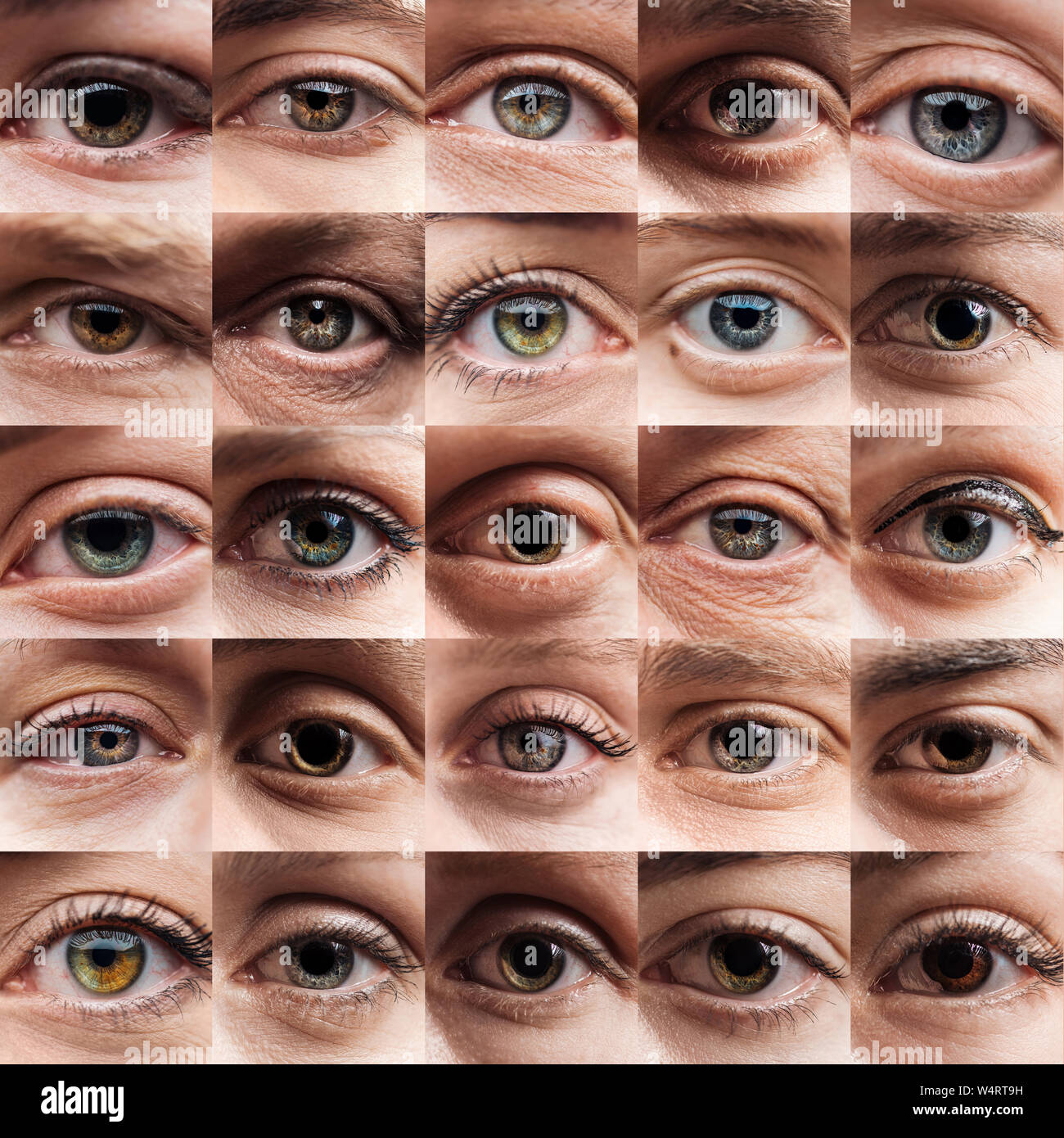 Augen mit verschiedenen farben Fotos und Bildmaterial in hoher Auflösung Alamy
